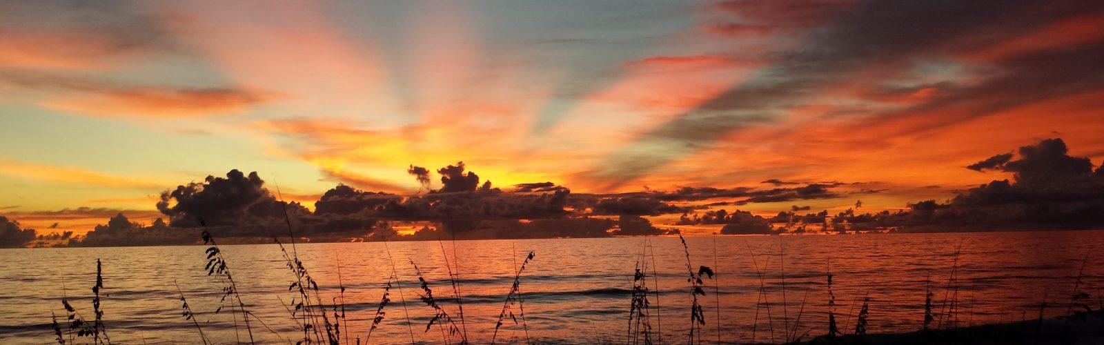 20150927_065822 Morning
