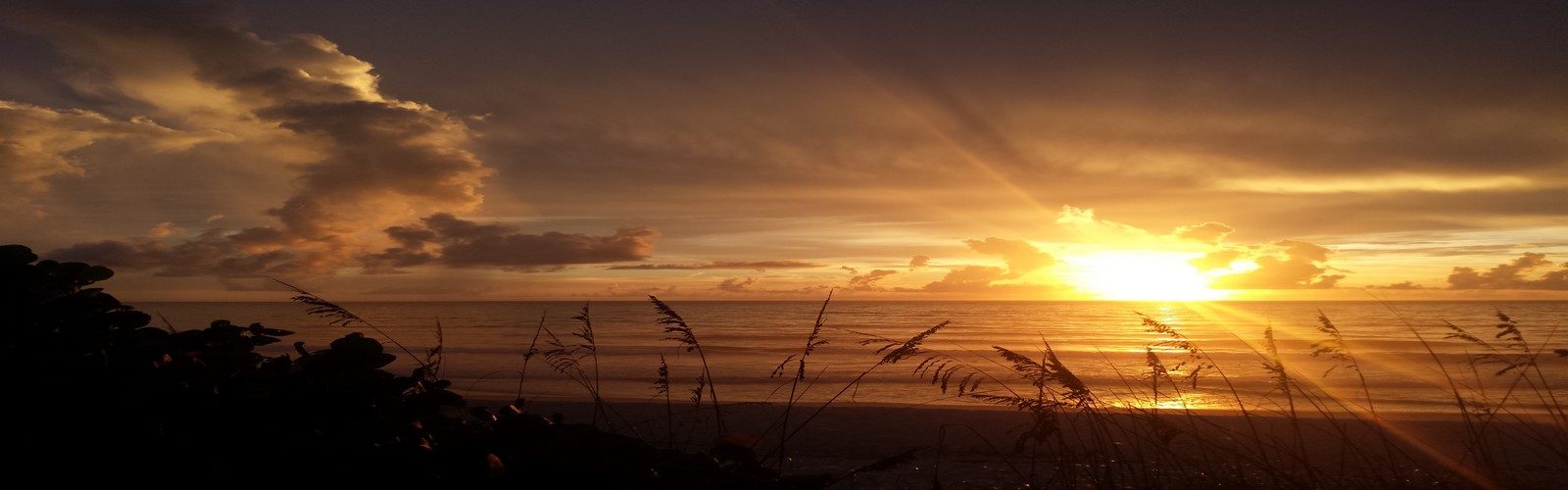 Gold.starburst.sunrise Christ Assembly