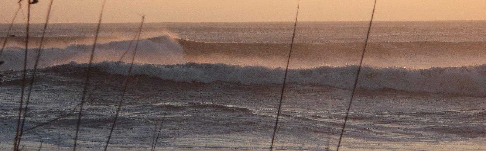 STORM.WAVES STORM.WAVES