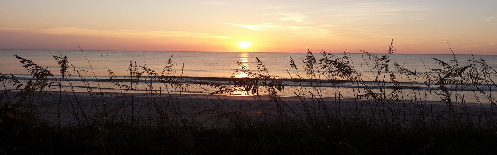 black.gold.sunrise black.gold.sunrise