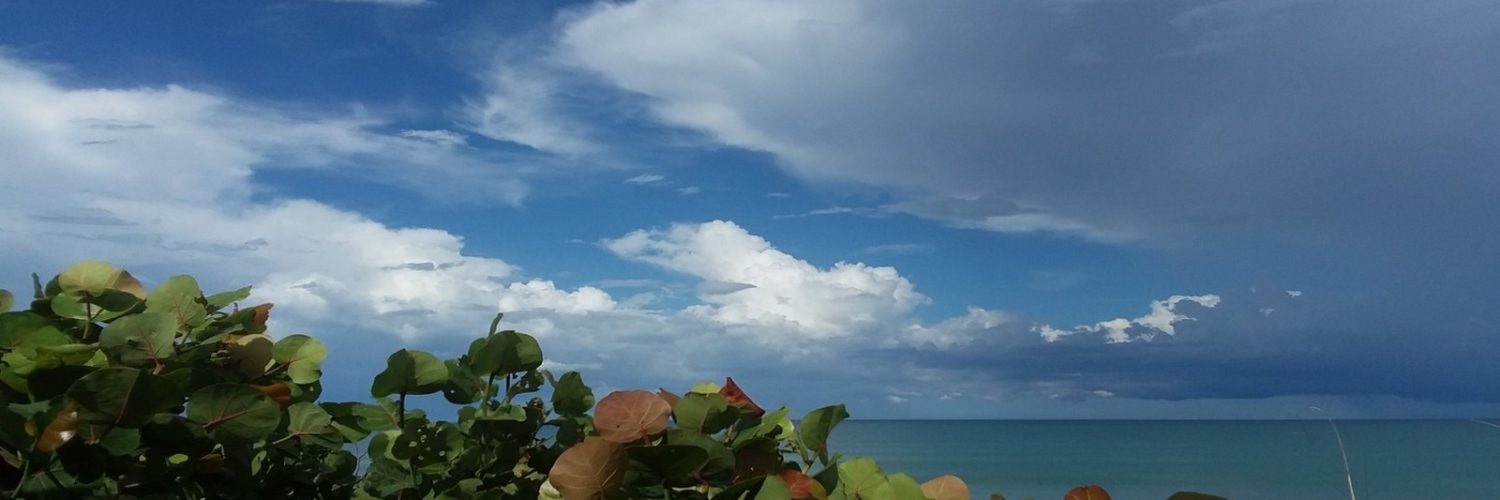 seagrape.storm seagrape storm